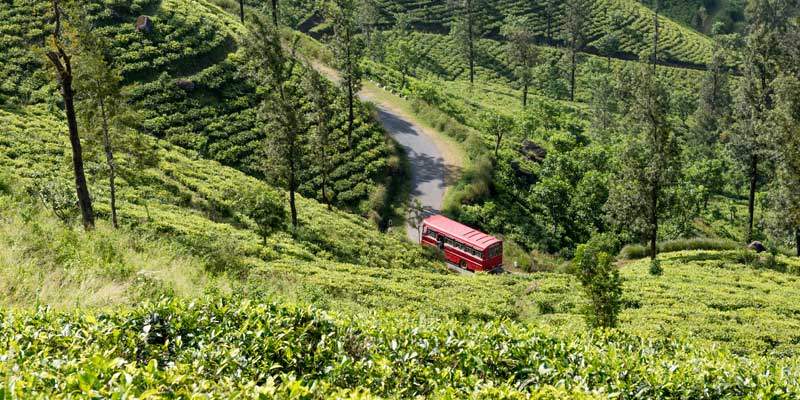 darjeeling tour package from bangladesh 2022