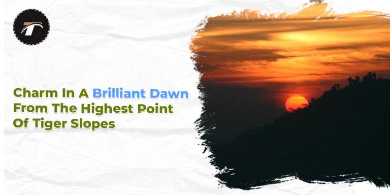 Read more about the article Charm In A Brilliant Dawn From The Highest Point Of Tiger Slopes