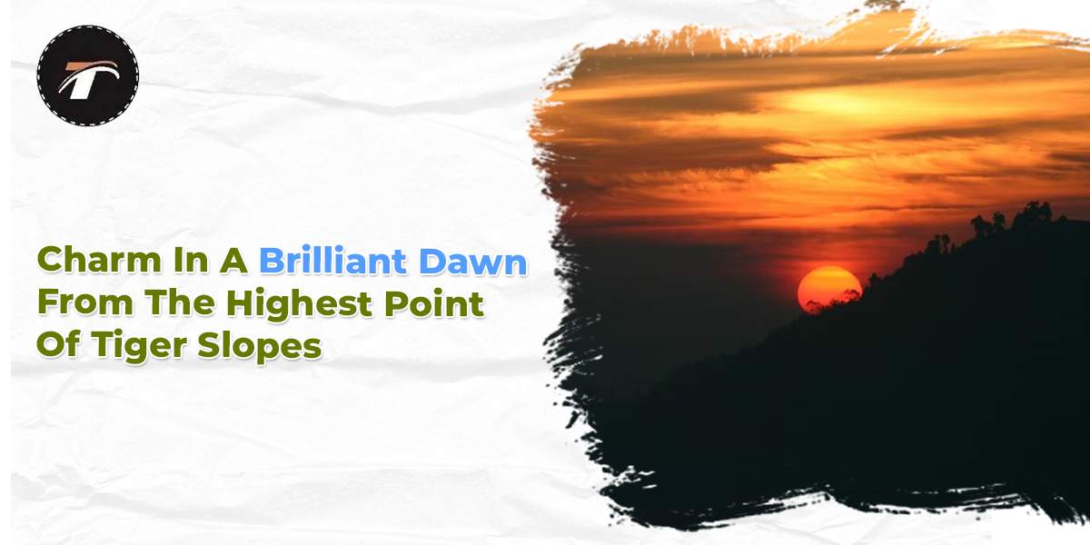 Read more about the article Charm In A Brilliant Dawn From The Highest Point Of Tiger Slopes