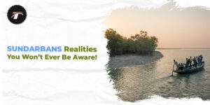 Read more about the article SUNDARBANS Realities You Won’t Ever Be Aware!