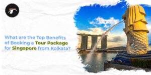 Read more about the article What are the Top Benefits of Booking a Tour Package for Singapore from Kolkata?
