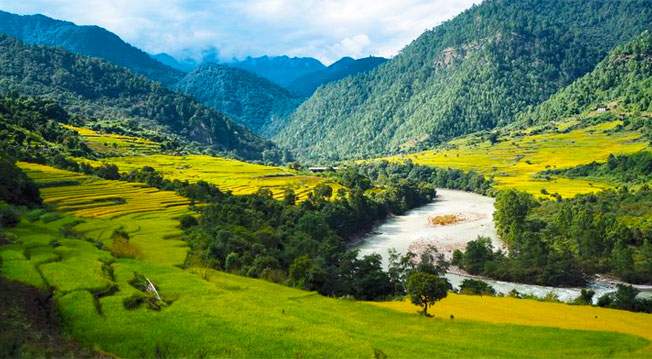 bhutan tour package from kolkata