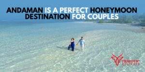 Read more about the article Why Andaman Is A Perfect Honeymoon Destination For Couples
